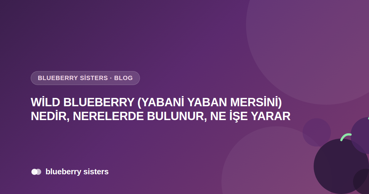 Wild Blueberry (Yabani Yaban Mersini) Nedir, Nerelerde Bulunur, Ne İşe Yarar