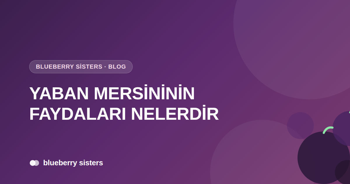 Yaban Mersininin Faydaları Nelerdir